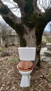 WhatsApp Image 2025-05-04 à 10.05.14_cf3e3751