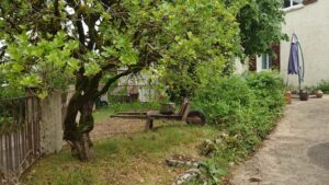 WhatsApp Image 2025-05-04 à 12.40.31_4e8b0804