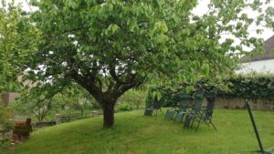 WhatsApp Image 2025-05-04 à 12.40.55_7d10cef5